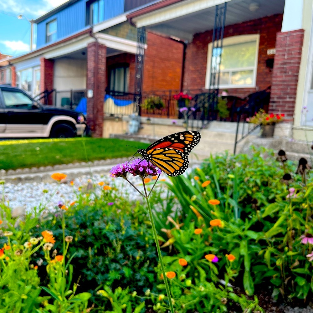 Meet your Posher, Claire